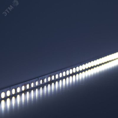 Лента светодиодная 120SMD(2835)/м 11Вт/м 24V 5000x8x1.22мм 6000К, LS501