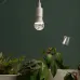 Фитолампа для растений светодиодная ЭРА GREEN LINE ФИТО А60-15W-PFR-E27-GR полного спектра 15 Вт Е27