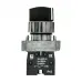 Переключатель BD33 3P короткая ручка 2NO IP65