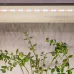 Светодиодная лента для растений ЭРА FITO-Strip Light-Rа90-300LED-5m-12V-IP65 полного спектра 5м IP65 с адаптером 12В