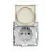 BRITE Розетка с заземлением с защитными шторками и крышкой 16А IP20 РСбш10-3-БрА алюминий