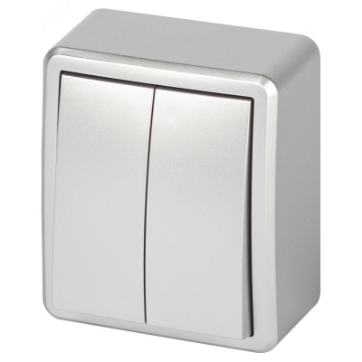 Выключатель ЭРА Эксперт 11-1204-03 двойной 10АХ-250В IP20 ОУ алюминий