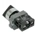 Переключатель BD21 2P короткая ручка NO IP65 PROxima