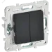 SKANDY Выключатель 2-клавишный 10А SK-V04G графит IEK