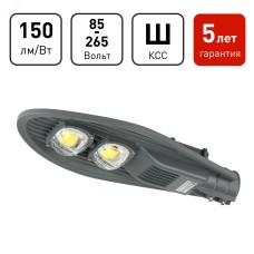 Уличный светильник ЭРА SPP-5-80-5K-W 80Вт 5000К 12000лм IP65 КСС Ш IC-COB 48-60мм