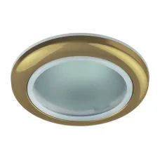 WR1 GD Светильник ЭРА влагозащищенный MR16,12V220V, 50W золото (100/2000)