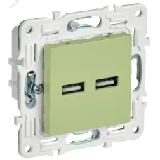 SKANDY Розетка USB A+A 3,1А SK-R15G мятный IEK