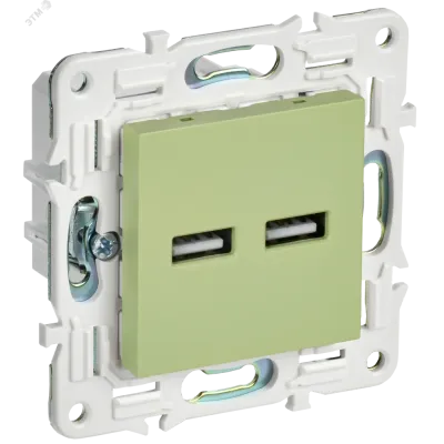 SKANDY Розетка USB A+A 3,1А SK-R15G мятный IEK