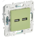 SKANDY Розетка USB A+A 3,1А SK-R15G мятный IEK