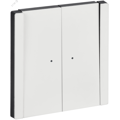 FORTE&PIANO Выключатель 2-клавишный с индикацией 10А FP206M металл белый IEK