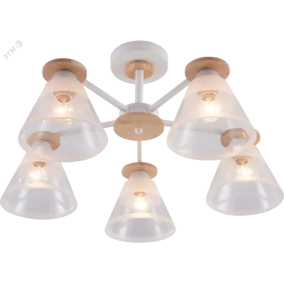 Люстра Rivoli Theothila 9177-305 5 х Е27 60 Вт модерн