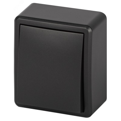 Выключатель ЭРА Эксперт 11-1201-05 10АХ-250В IP20 ОУ антрацит