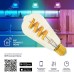 Лампа умная филаментная RGB E27 ST64