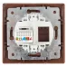 Розетка Intro Plano 1-303-10 информационная RJ45, IP20, СУ, венге
