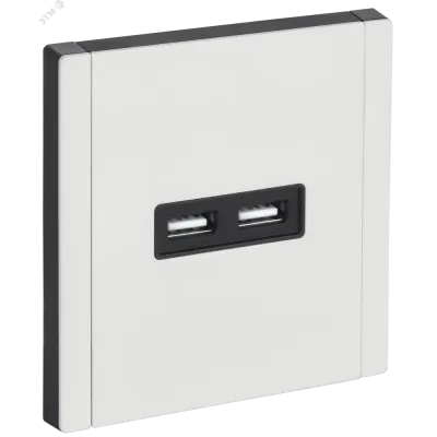 FORTE&PIANO Розетка USB A+A 3,1А FP249M металл белый IEK
