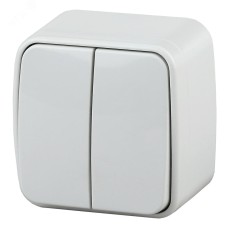 3-104-01 Intro Выключатель двойной, 10А-250В, IP20, ОУ, Polo, белый (18/360/4320)