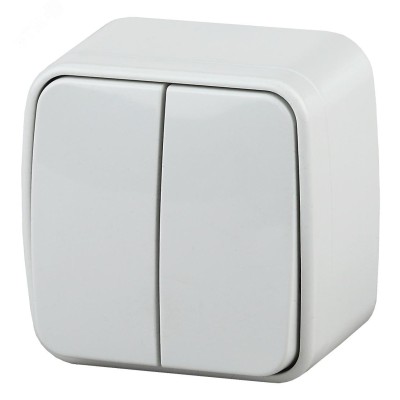 3-104-01 Intro Выключатель двойной, 10А-250В, IP20, ОУ, Polo, белый (18/360/4320)