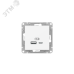 Механизм розетки USB-A+С, белый Эпика EKF