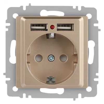 Розетка Intro Accent 6-410-04 , P+E Schuko со шторками, 16А-250В + 2хUSB, IP20, СУ, шампань