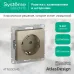 Розетка ATLASDESIGN с заземлением со шторками 16А механизм шампань