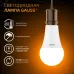 Лампа Gauss A70 22W 1900lm 3000K E27 LED 1/10/50