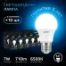 Лампа Gauss A60 7W 710lm 6500K E27 LED 1/10/50