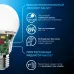 Лампа Gauss A60 10W 920lm 6500K E27 LED 1/10/50