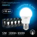 Лампа Gauss A60 12W 1200lm 6500K E27 LED 1/10/50