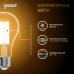 Лампа Gauss Filament А70 30W 3000lm 2700К Е27 LED 1/10/40