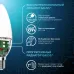 Лампа Gauss Свеча 9.5W 950lm 4100К E14 LED 1/10/100