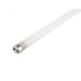 PLED T8-1500GL 24w FROST 6500K G13 230V/50Hz   Jazzway