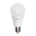 PLED- ECO- A60 11w E27 5000K 840Lm  220V/50Hz  Jazzway