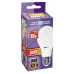 PLED- SP A60 10w E27 5000K  230/50  Jazzway