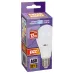 PLED- SP A60 12w E27 5000K 230/50  Jazzway