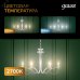Лампа Gauss Filament Свеча 13W 1100lm 2700К Е14 LED 1/10/50