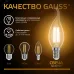 Лампа Gauss Filament Свеча на ветру 5W 420lm 2700К Е14 LED 1/10/50