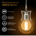 Лампа Gauss Filament Шар 5W 420lm 2700К Е14 LED 1/10/50