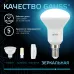Лампа Gauss R50 6W 530lm 4100K Е14 LED 1/10/100