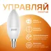 Лампа Gauss Smart Home С37 5W 470lm 2700К Е14 диммируемая LED 1/10/40