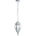 Светильник садово-парковый, 100W 230V E27 белый, 8105/PL8105 (на цепочке)