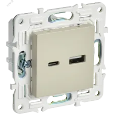 SKANDY Розетка USB A+C 3,1А SK-R14B бежевый IEK