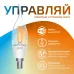 Лампа Gauss Smart Home Filament СF35 4,5W 495lm 2000-6500К E14 изм.цвет.темп.+дим. LED 1/10/40
