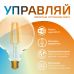 Лампа Gauss Smart Home Filament G95 6,5W 720lm 2000-5500К E27 изм.цвет.темпр.+диммирование LED 1/40