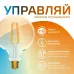 Лампа Gauss Smart Home Filament G95 6,5W 720lm 2000-5500К E27 изм.цвет.темпр.+диммирование LED 1/40