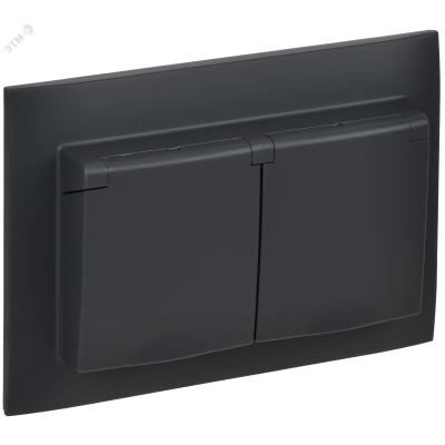 SKANDY Розетка 2-местная и крышкой 16А в сборе IP44 SK-R12G графит IEK