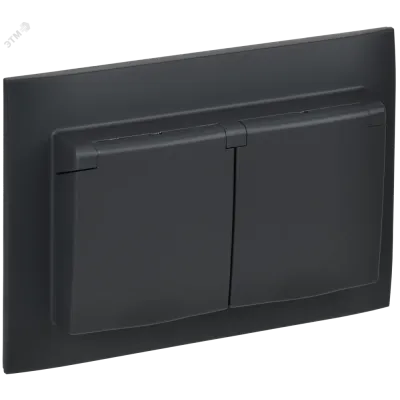 SKANDY Розетка 2-местная и крышкой 16А в сборе IP44 SK-R12G графит IEK