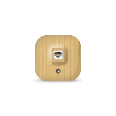 Розетка компьютерная одноместная серия IONICH, о/у, 1А, RJ45, сосна