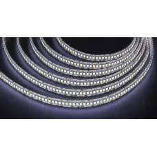 Лента светодиодная 24Вт/м 12В 6000К IP65 240LED/м NLS-2835 5м