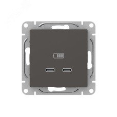 Механизм розетки USB-C - 2шт  мокко Эпика EKF