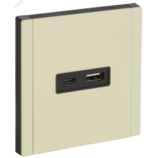 FORTE&PIANO Розетка USB A+C 18Вт FP851M металл слоновая кость IEK